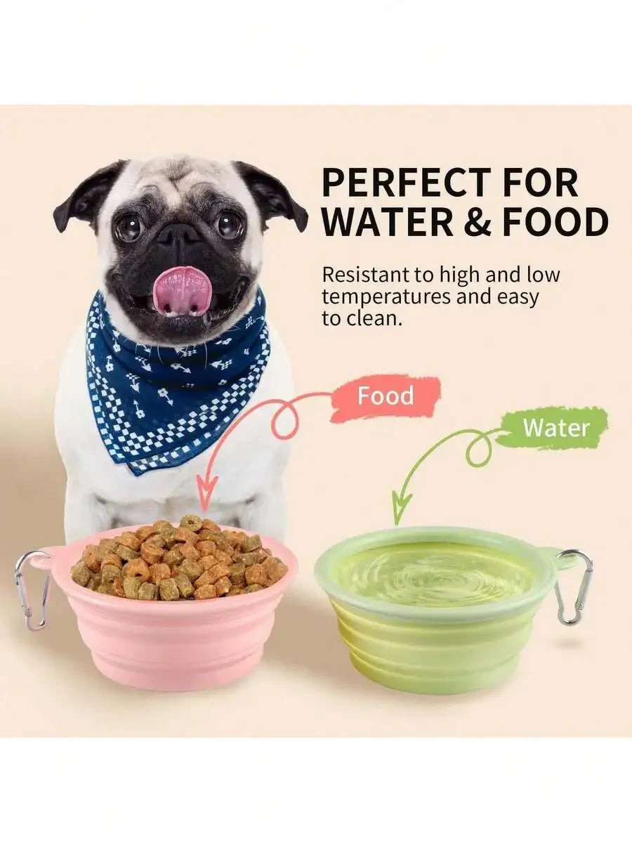 Slow-Feeding Dog Bowl,