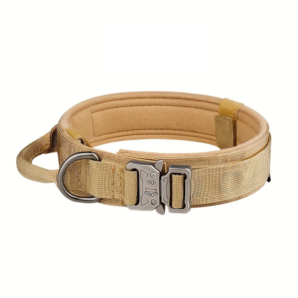 Training Collar Adjustable