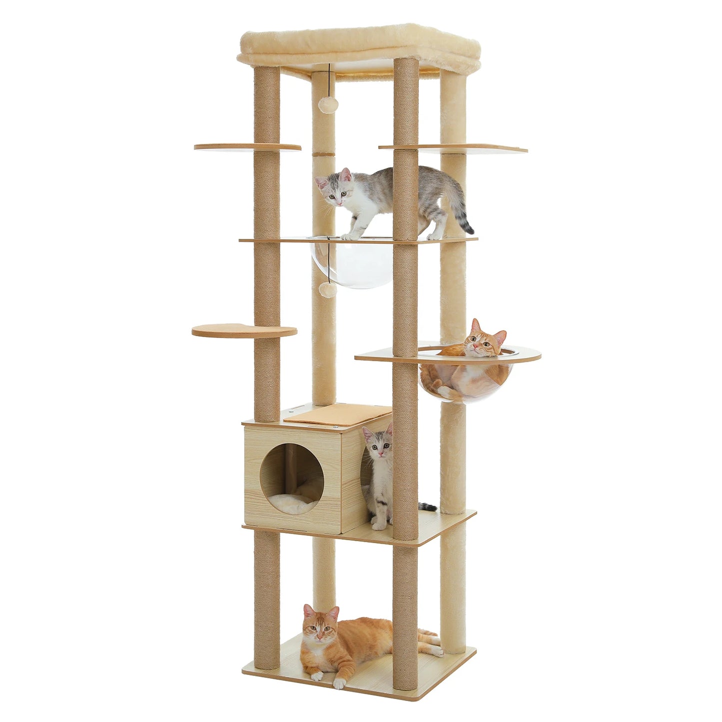 Multi-Level Cat Tree