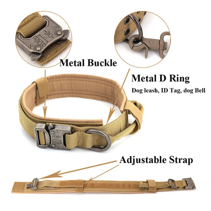 Training Collar Adjustable