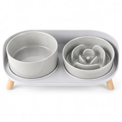 Elevated Slow Feeder Dog Bowls