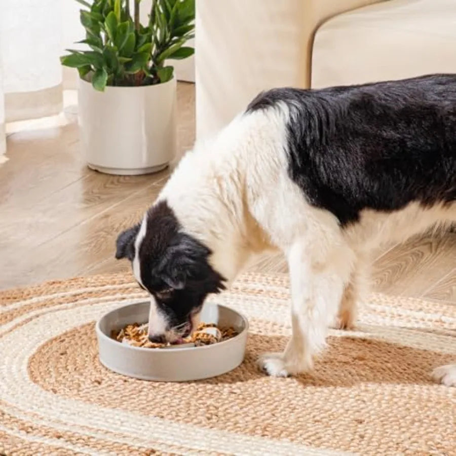 Slow Feeder Dog Bowl, large