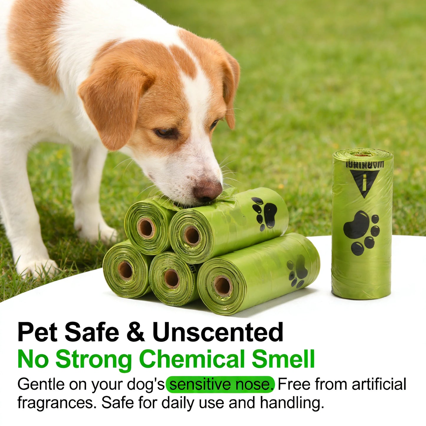 Eco-Friendly Dog Poop Bags