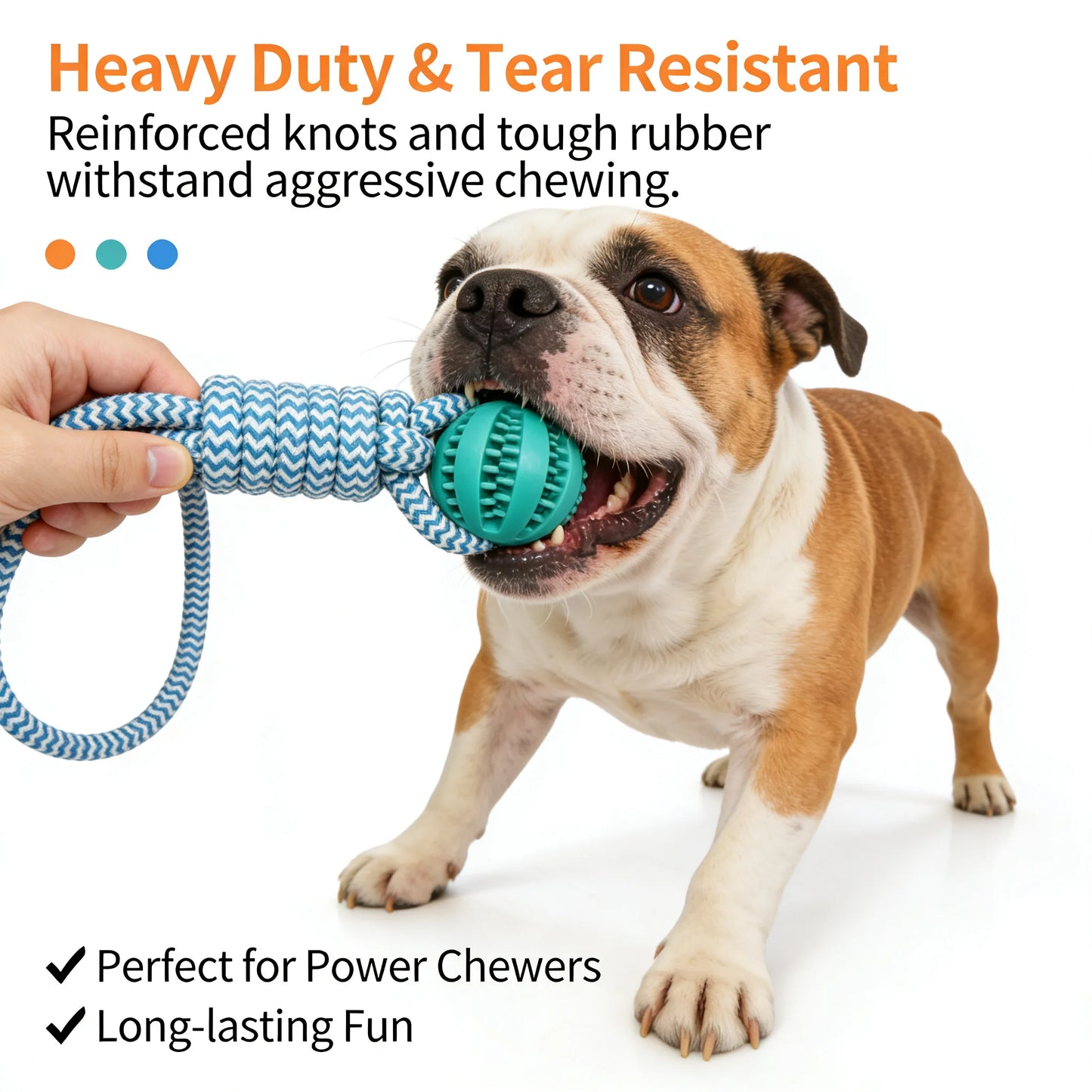 2-in-1 Dog Chew Teeth Cleaning