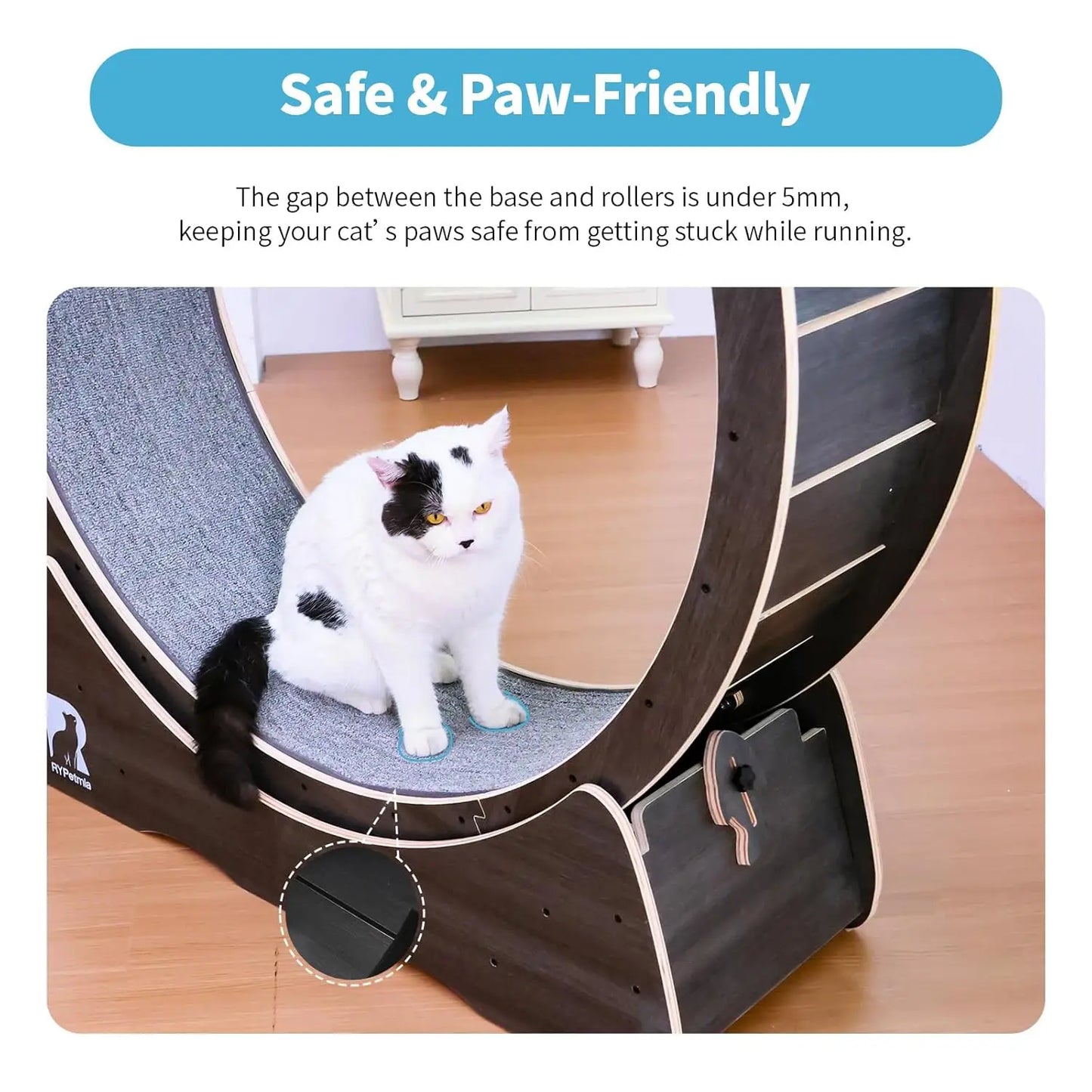 Large Exercise Wheel for Indoor Cats
