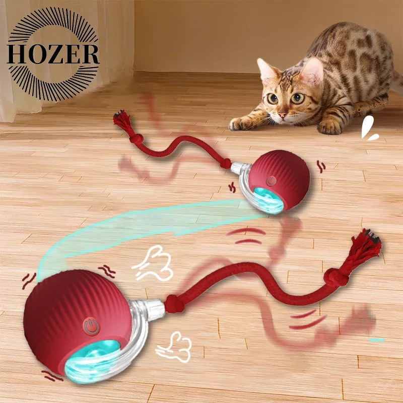 2Pcs Cat Interactive Automatic Rolling Ball