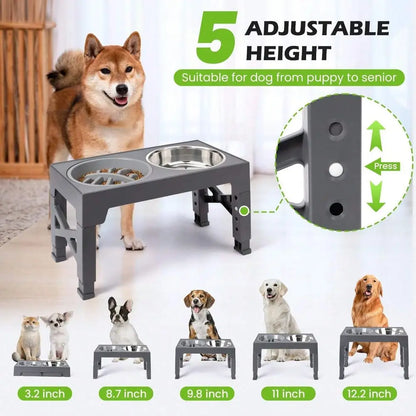 5 Adjustable Heights, slow feeder
