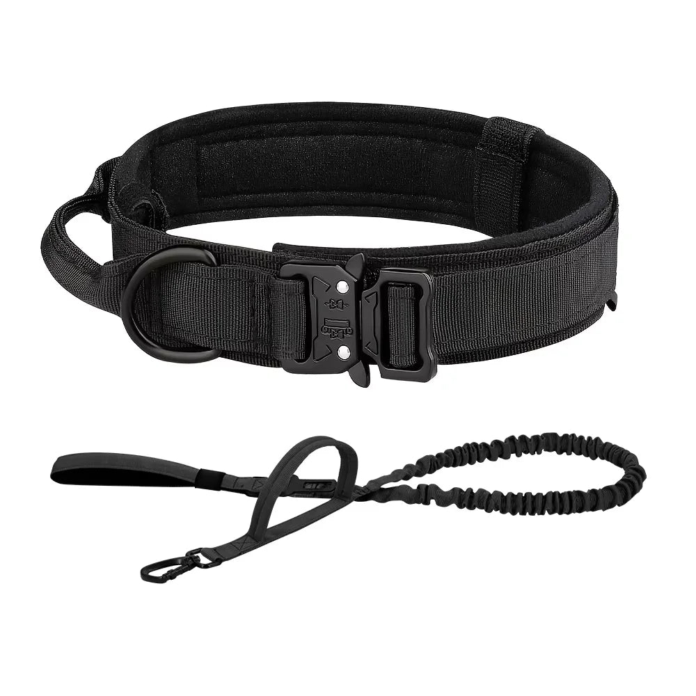 Training Collar Adjustable
