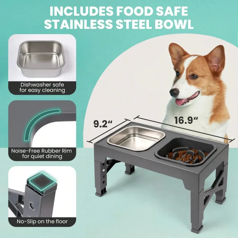 slow feeder Dog Bowl Elevated