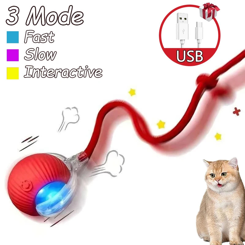 2Pcs Cat Interactive Automatic Rolling Ball