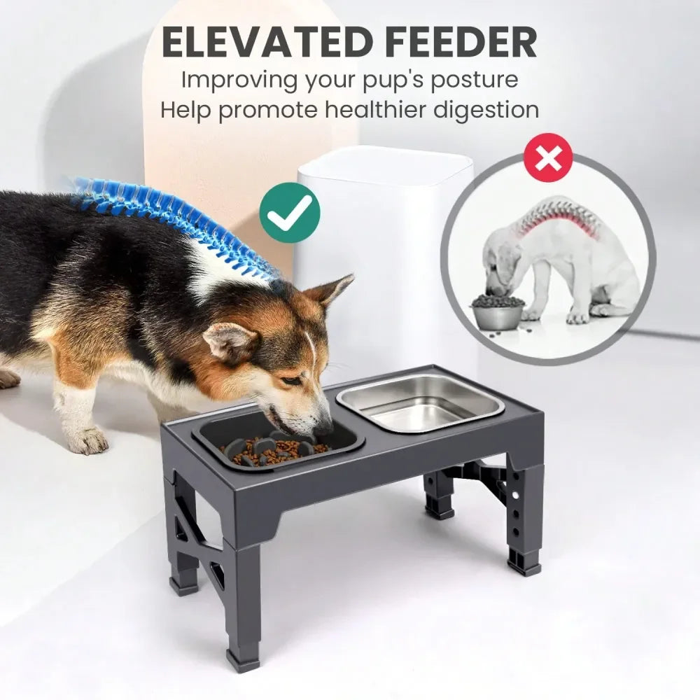 slow feeder Dog Bowl Elevated