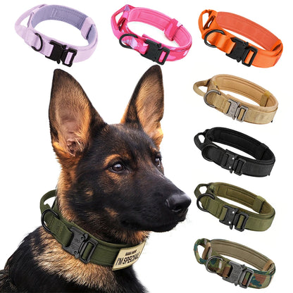 Training Collar Adjustable