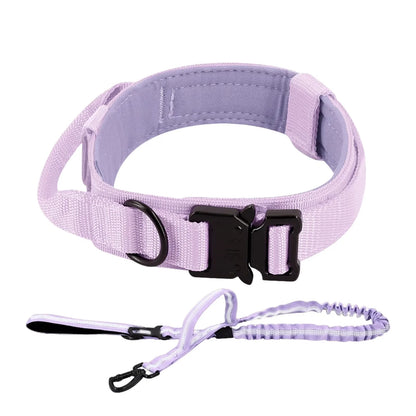 Training Collar Adjustable