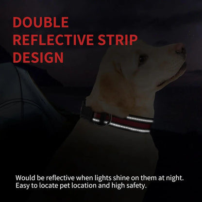 Collar for Small/Medium Dogs, 2-Pack