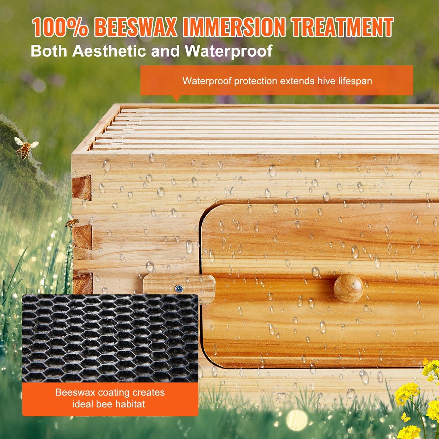 Bee Hive Deep Box Starter Kit Transparent Acrylic