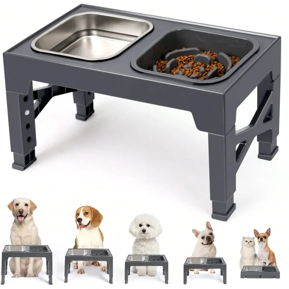 slow feeder Dog Bowl Elevated