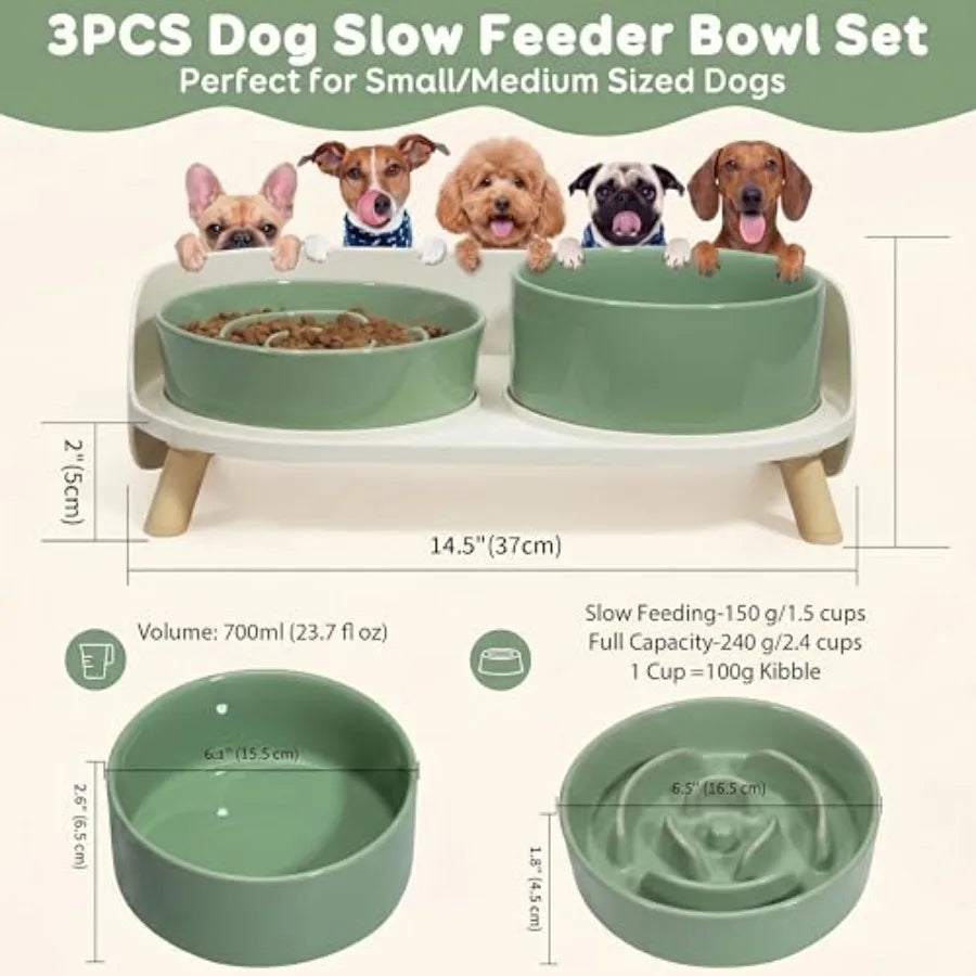Elevated Slow Feeder Dog Bowls