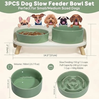 Elevated Slow Feeder Dog Bowls