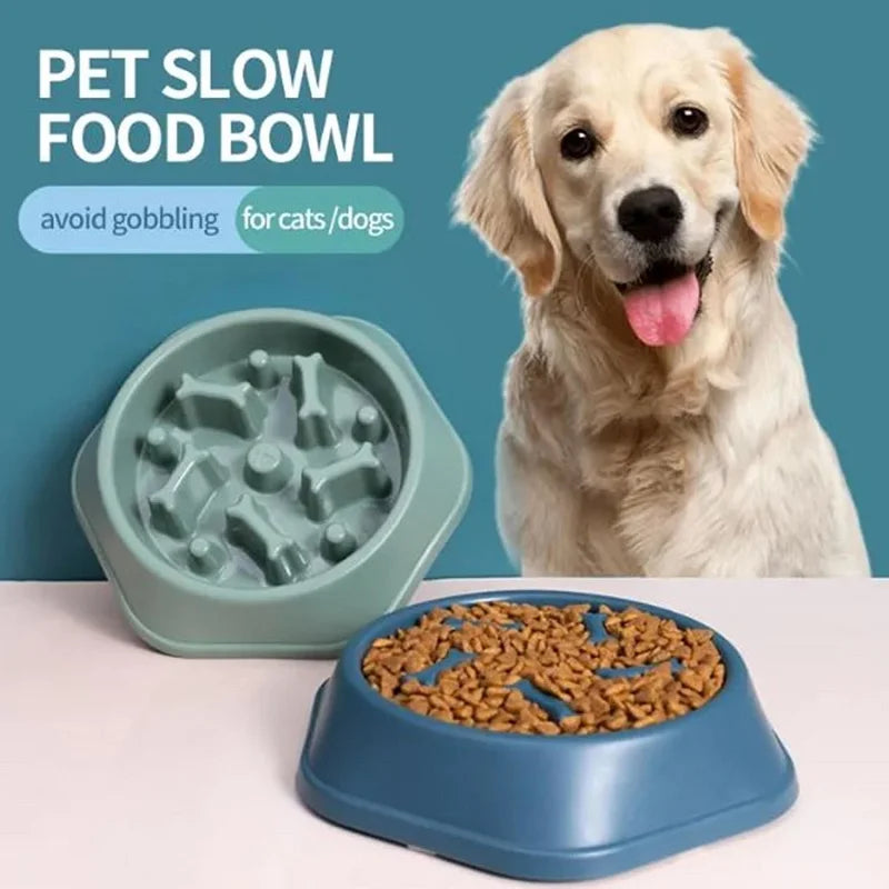 Slow Feeder Dog Cat Bowl,