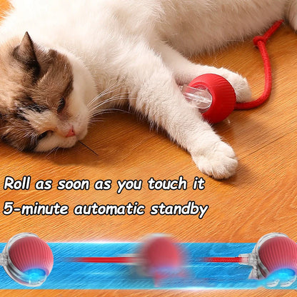 2Pcs Cat Interactive Automatic Rolling Ball