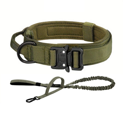 Training Collar Adjustable