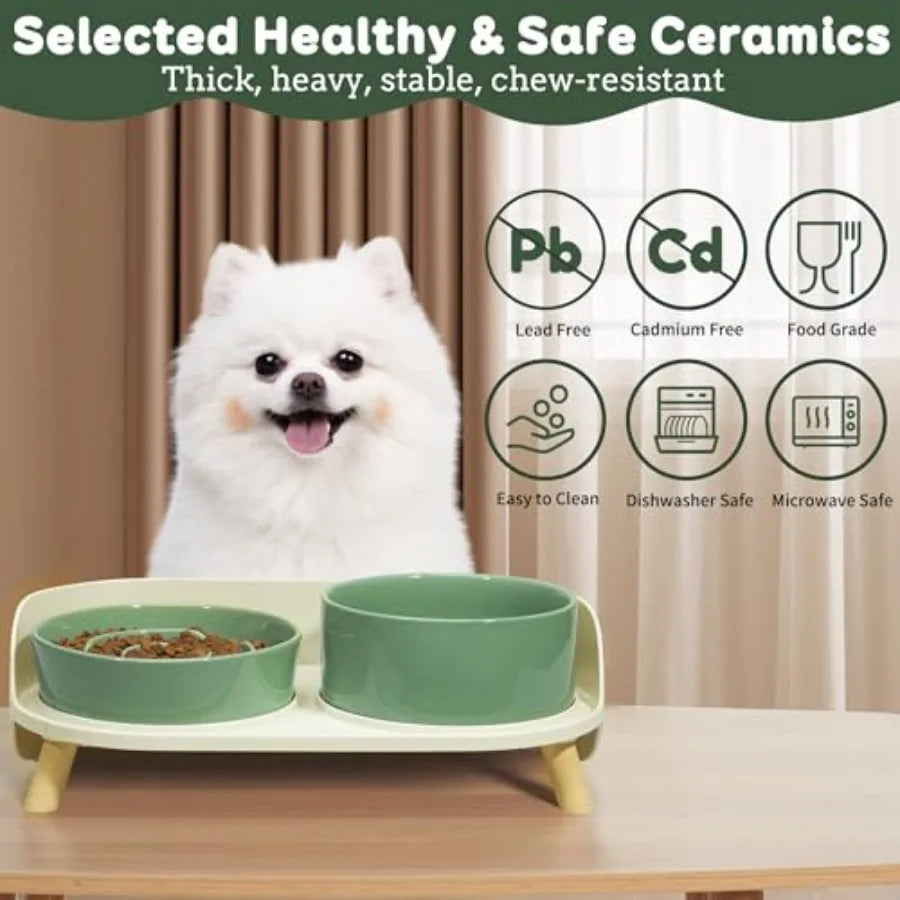 Elevated Slow Feeder Dog Bowls