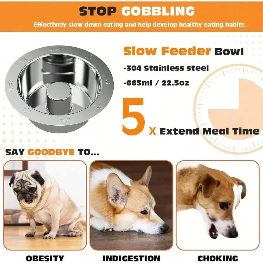 Elevated Dog Bowl
