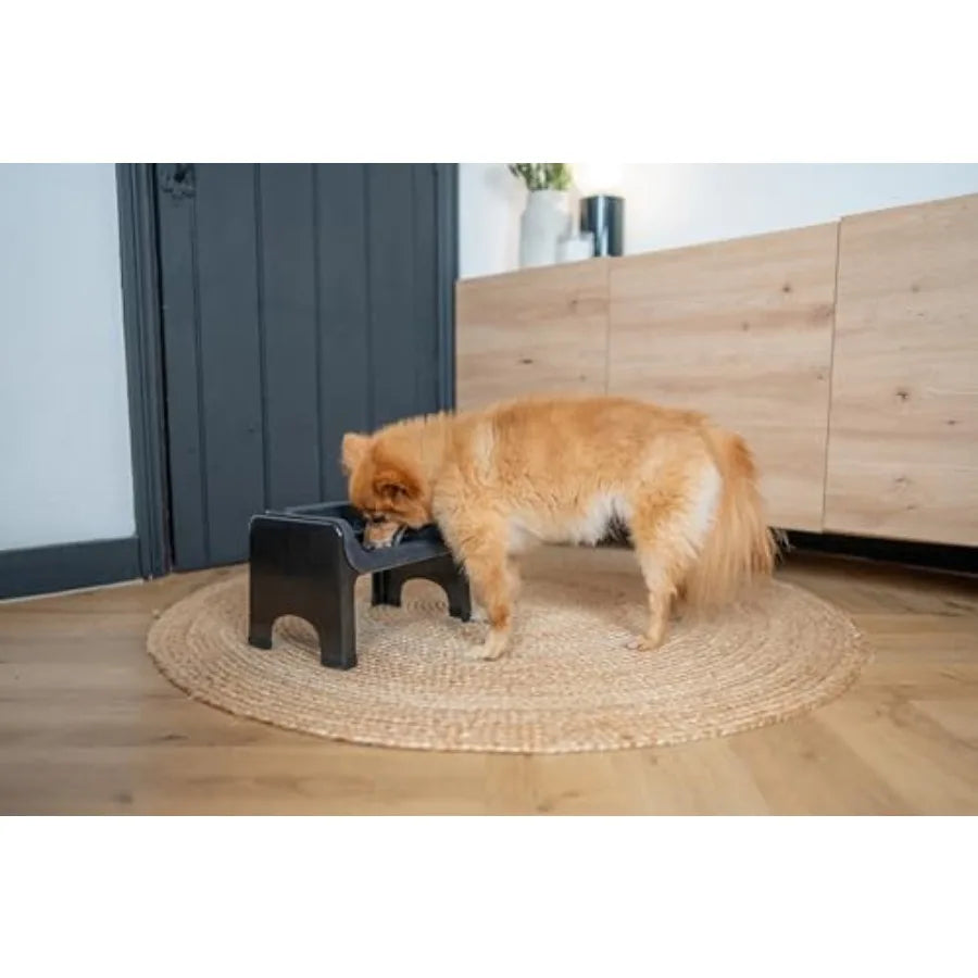 Elevated Slow Feeder Dog Bowl