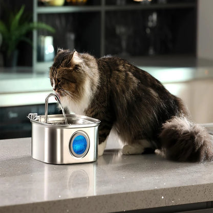 3.2L Stainless Steel Pet Water Feeder Auto  Fountain