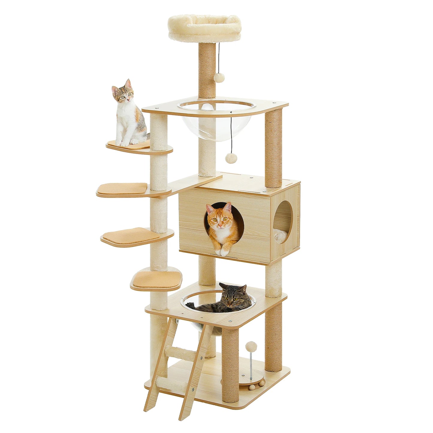 Multi-Level Cat Tree