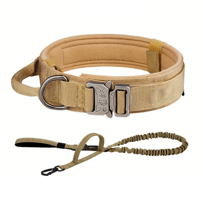 Training Collar Adjustable