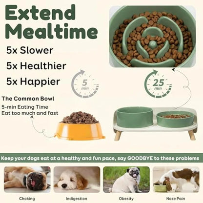 Elevated Slow Feeder Dog Bowls