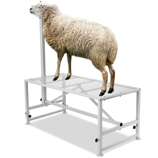 51x23in Livestock Stand 21" to 33" Adjustable Height White
