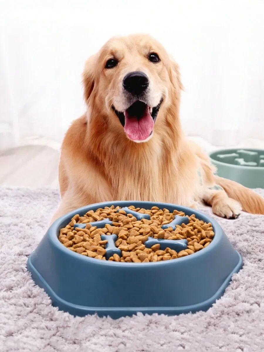 Slow Feeder Bowl,