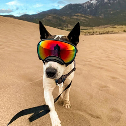 Dog Goggles Anti-UV Eyewear Protection Adjustable