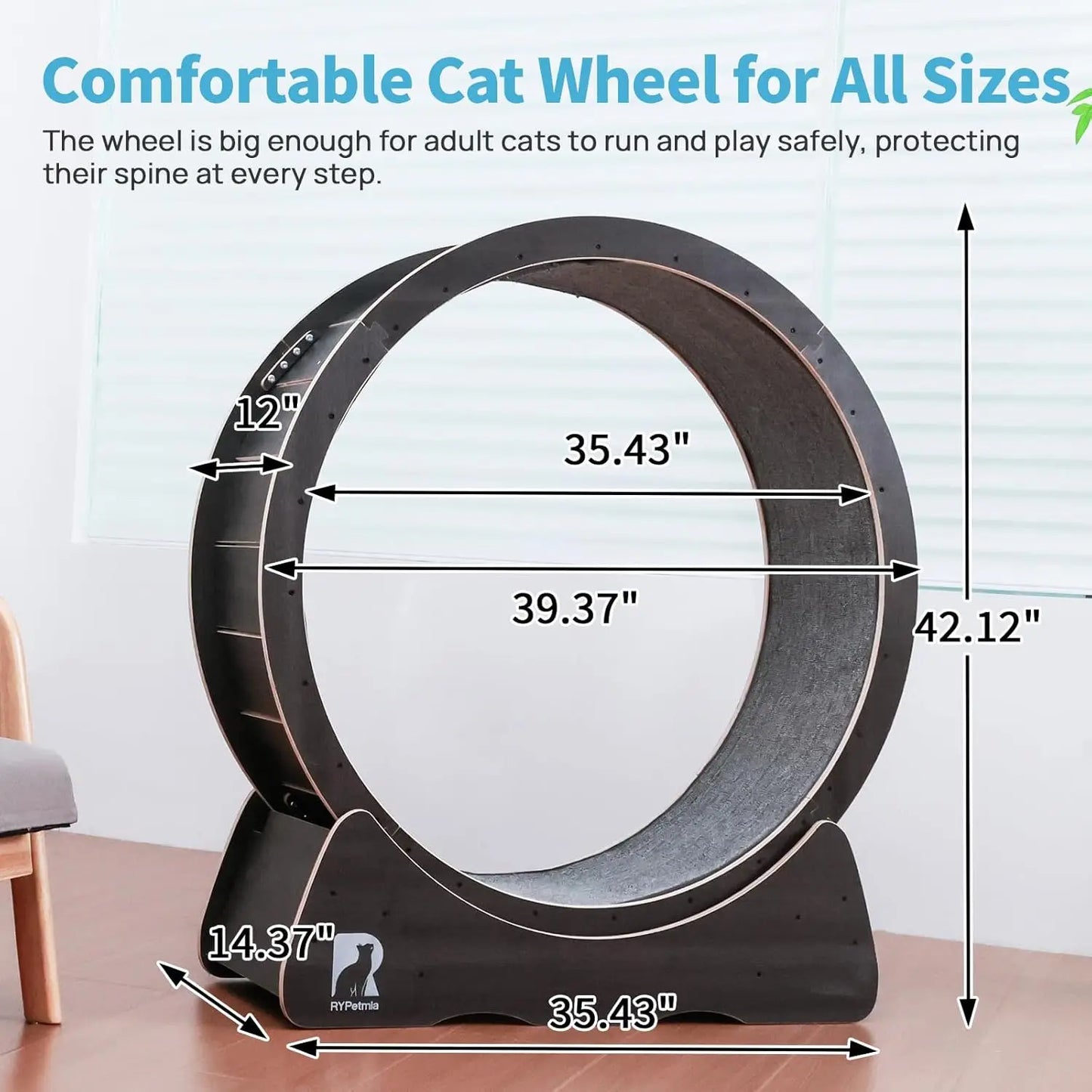 Large Exercise Wheel for Indoor Cats