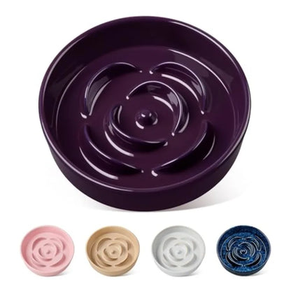 Slow Feeder Dog Bowl, large