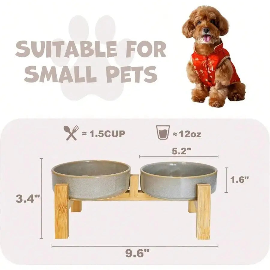 Elevated Slow Feeder Ceramic bowl