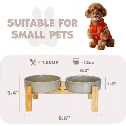 Elevated Slow Feeder Ceramic bowl