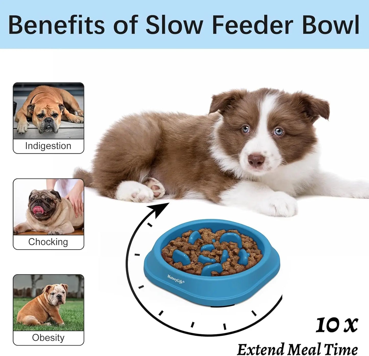 Small Slow Feeder Bowls 2PCS