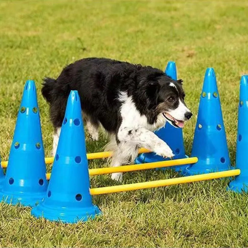 Pet Agility  Set Jumping Bar Dog Obstacle Training Equipment