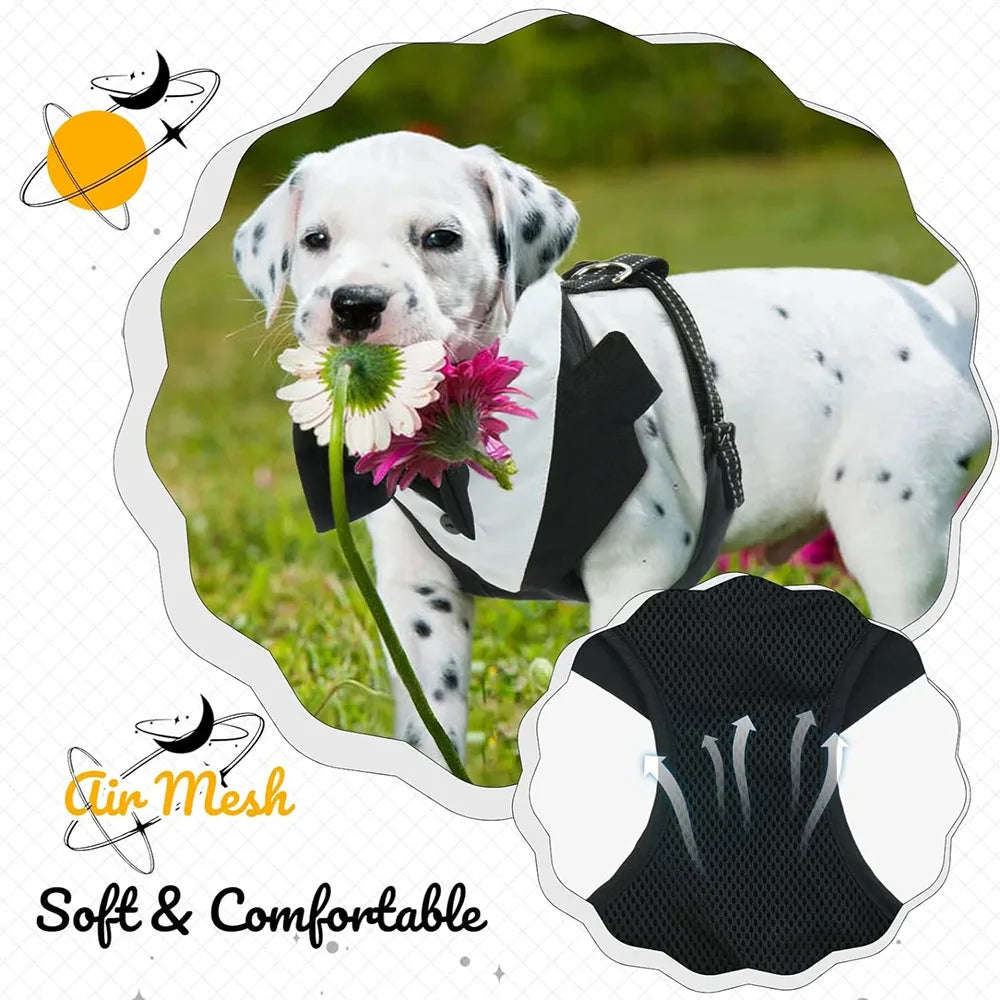 Dog Tuxedo Adjustable Harness Party Costume