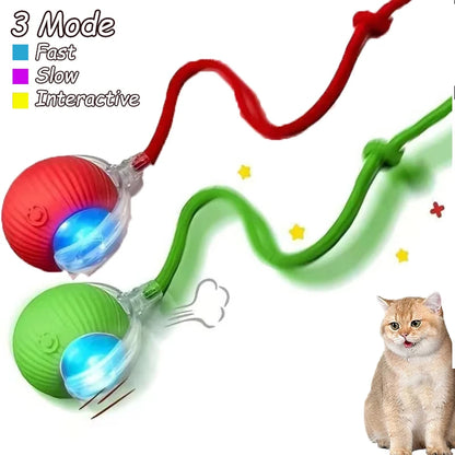 2Pcs Cat Interactive Automatic Rolling Ball