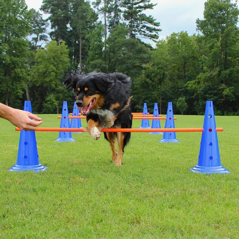 Pet Agility  Set Jumping Bar Dog Obstacle Training Equipment