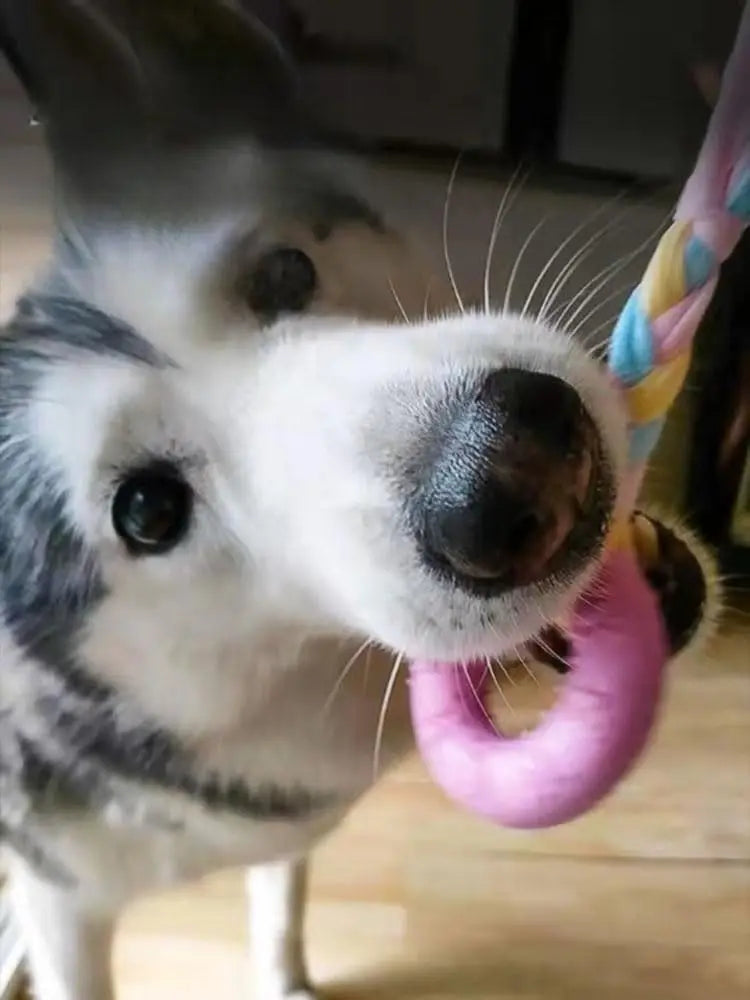 Assorted Squeaky Chew Bones for Aggressive Chewers,