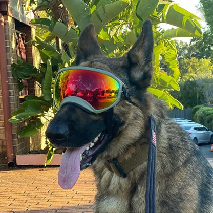 Dog Goggles Anti-UV Eyewear Protection Adjustable