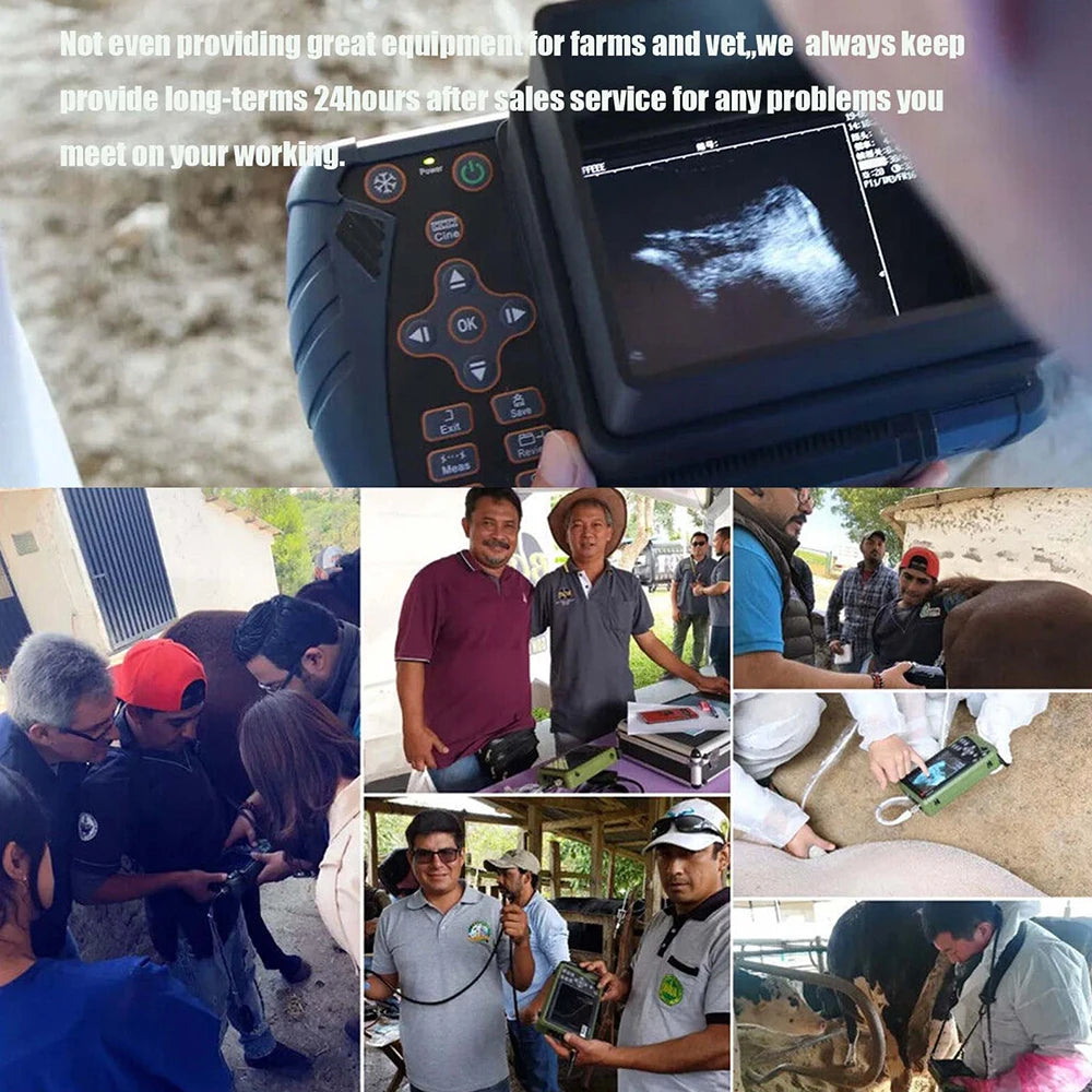 Portable Veterinary Ultrasound   for Animals