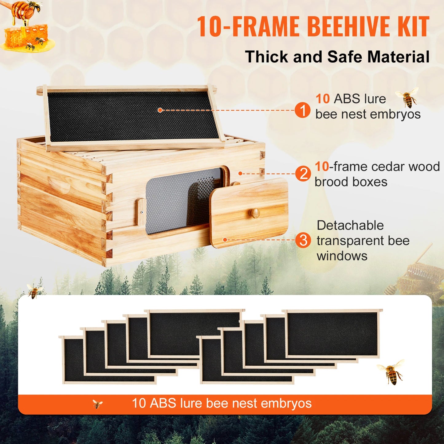 Bee Hive Deep Box Starter Kit Transparent Acrylic