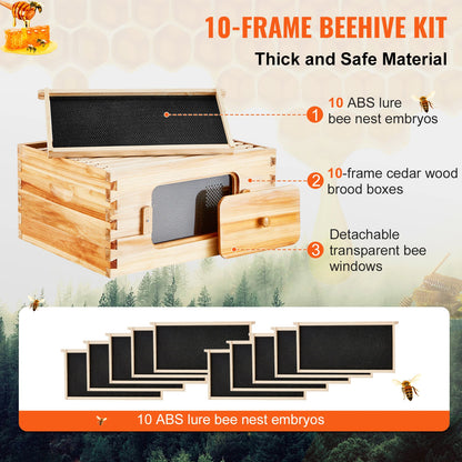 Bee Hive Deep Box Starter Kit Transparent Acrylic