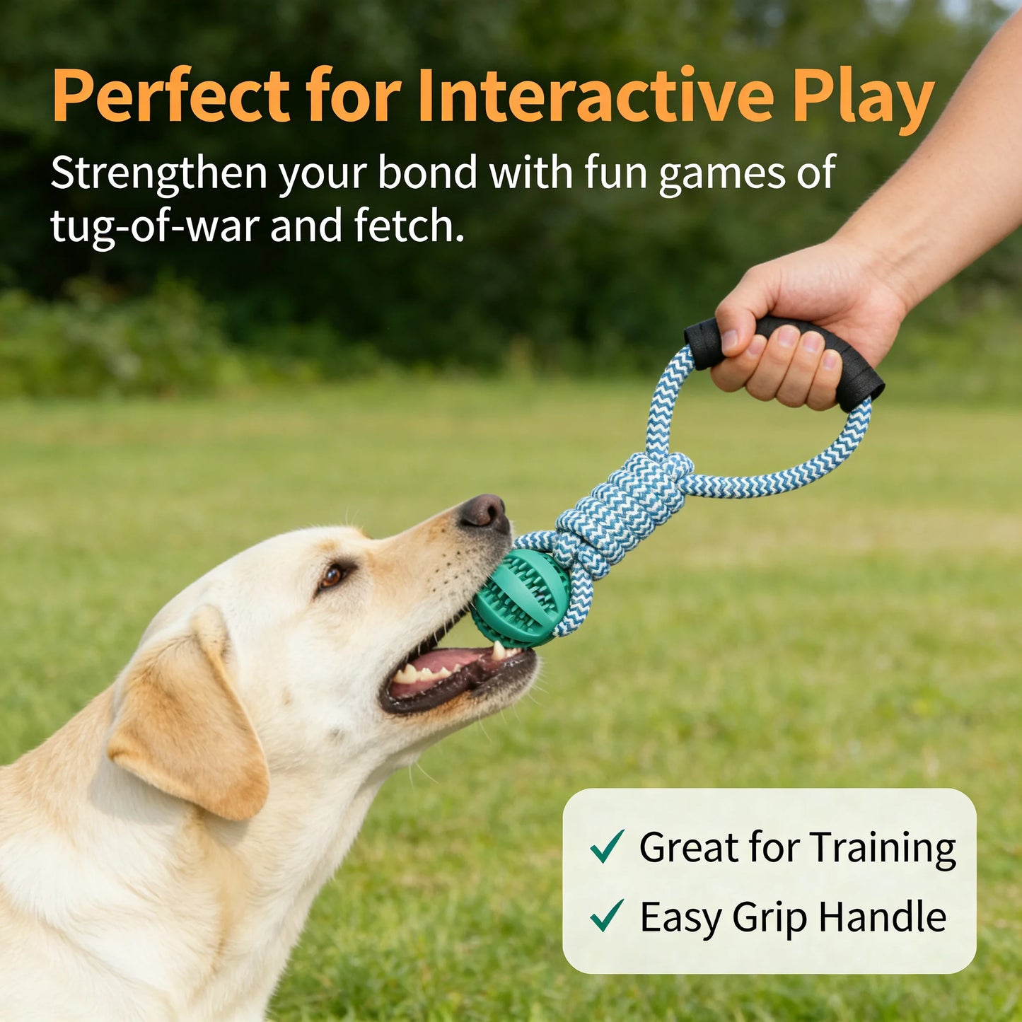 2-in-1 Dog Chew Teeth Cleaning